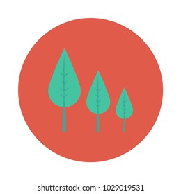 leaf plant nature 