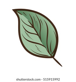 leaf plant nature decoration
