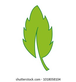 leaf plant nature flora design