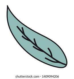 leaf plant nature icon vector illustration