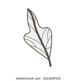 leaf plant nature isolated icon vector illustration design
