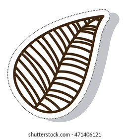 leaf plant nature isolated icon vector illustration design
