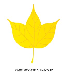 leaf plant nature isolated icon vector illustration design
