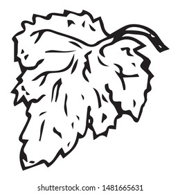 Leaf of a plant. One leaf of cucumber. Pointed leaf. Vector illustration. Simple hand drawn icon.