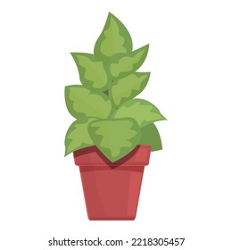 Leaf plant pot icon cartoon vector. Summer garden. Home stem