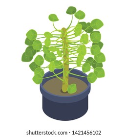 Leaf plant pot icon. Isometric of leaf plant pot vector icon for web design isolated on white background