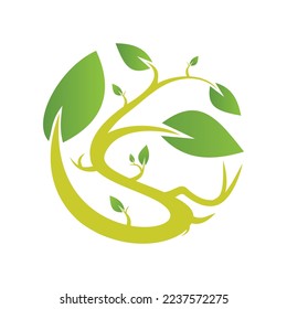 Leaf plant s 3 logo template