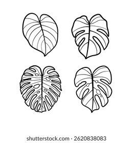 Leaf plant set icon vector