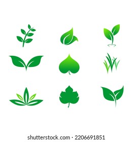 Diseño vectorial de conjunto de plantas de hoja