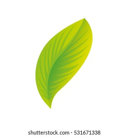 leaf plant silhouette icon vector illustration design