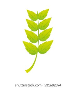 leaf plant silhouette icon vector illustration design