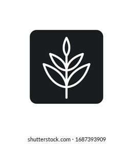 leaf plant symbol icon design vector