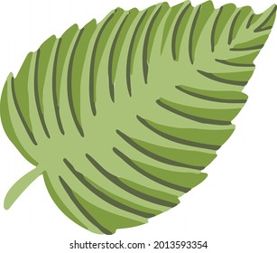 Leaf plant tree colorful drawing illustration symbol