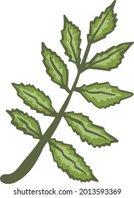 Leaf plant tree colorful drawing illustration symbol