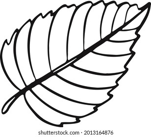 Leaf plant tree line drawing illustration symbol
