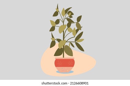 Leaf plant vector green nature tree illustration vector design . Concept life logo flat