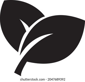 Leaf. Plants. Floral. Herbs. Vector illustration. Minimalistic art. Black leaves. Black and white. White background. One line drawing.