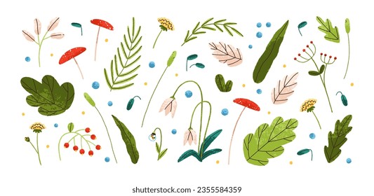 Leaf plants, flowers, floral branches set. Botanical design elements. Nature decoration, spring decor, decorative green leaves, herbs cliparts. Flat vector illustration isolated on white background