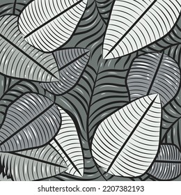 Leaf plants hand drawing black and white vector illustration.