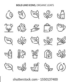 Leaf and plants related, bold line icons. The illustrations are about water, care, gardening, environmental, nature.