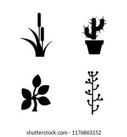 Leaf, Plants. Simple Related Vector Icons Set for Video, Mobile Apps, Web Sites, Print Projects and Your Design. Leaf, Plants icon Black Flat Illustration on White Background.