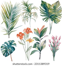 Hojas y plantas, conjunto de ilustraciones de acuarela