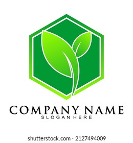 Leaf and polygon frame vector logo