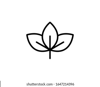 Leaf premium line icon. Simple high quality pictogram. Modern outline style icons. Stroke vector illustration on a white background. 