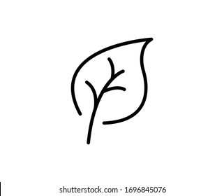 Icono de línea premium de hoja. Pictograma sencillo de alta calidad. Iconos modernos de estilo de esquema. Dibujo vectorial de trazo en un fondo blanco. 