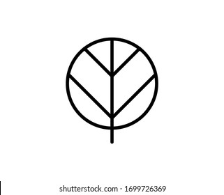 Leaf premium line icon. Simple high quality pictogram. Modern outline style icons. Stroke vector illustration on a white background. 