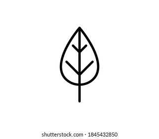 Leaf premium line icon. Simple high quality pictogram. Modern outline style icons. Stroke vector illustration on a white background. 