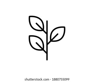 Icono de línea superior de hoja. Pictograma sencillo de alta calidad. Iconos modernos de estilo de contorno. Ilustración vectorial de trazo sobre un fondo blanco. 