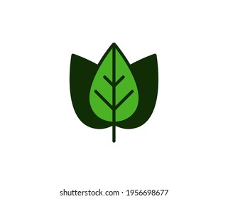 Leaf premium line icon. Simple high quality pictogram. Modern outline style icons. Stroke vector illustration on a white background. 