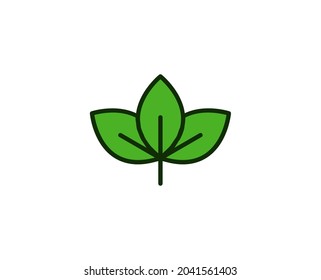 Leaf premium line icon. Simple high quality pictogram. Modern outline style icons. Stroke vector illustration on a white background. 