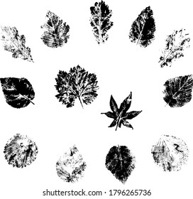 Leaf prints in black paint on white paper.
