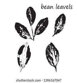 leaf prints, stamp bean leaves. Objects isolated on white, vector black on white illustration.