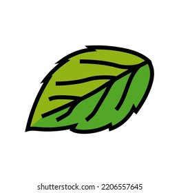 leaf raspberry green color icon vector. leaf raspberry green sign. isolated symbol illustration