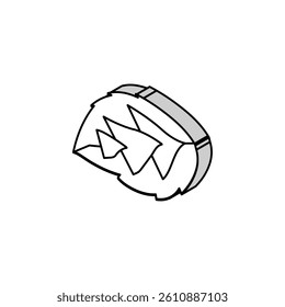 leaf raspberry green isometric icon vector. leaf raspberry green sign. isolated symbol illustration