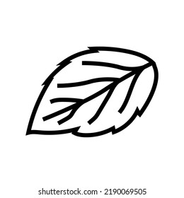 leaf raspberry green line icon vector. leaf raspberry green sign. isolated contour symbol black illustration