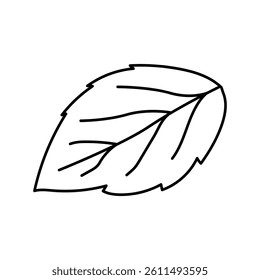 leaf raspberry green line icon vector. leaf raspberry green sign. isolated contour symbol black illustration