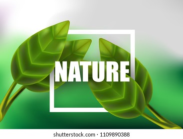 Leaf realistic vector green isolated plant nature background tropical summer 3d design eco flora forest isolated summer organic banner