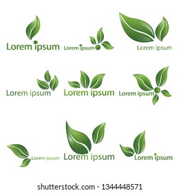 Leaf  realistic vector logotypes,  logo set of nine beautiful nature sign, spring time , for spa, organic  food or alternative medicine center web and print . 