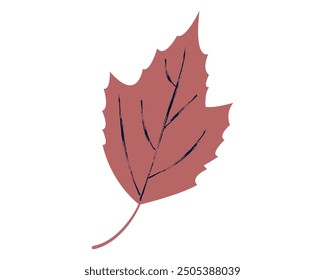 Blatt roter Ahornbaum einzeln auf weißem Hintergrund. Vektorgrafik von Acer rubrum leaf.