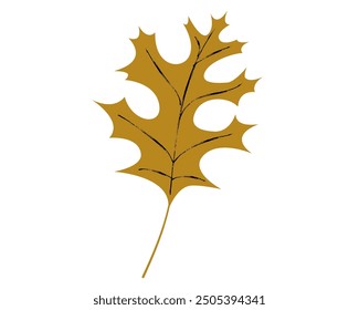 Leaf of red oak tree isolated on white background