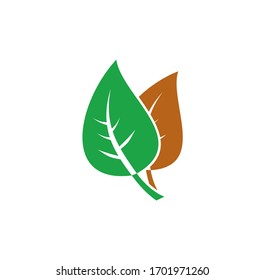 Leaf related icon on background for graphic and web design. Creative illustration concept symbol for web or mobile app.