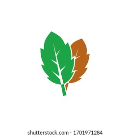 Leaf related icon on background for graphic and web design. Creative illustration concept symbol for web or mobile app.