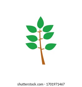 Icono relacionado con la hoja en el fondo para diseño gráfico y web. Símbolo de concepto de ilustración creativa para aplicación web o móvil.