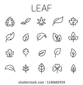 Leaf Related Vector Icon Set. Well-crafted Sign In Thin Line Style With Editable Stroke. Vector Symbols Isolated On A White Background. Simple Pictograms.