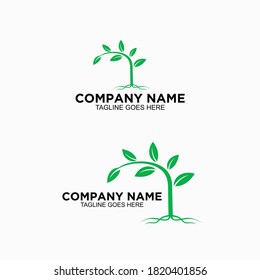 Logotipo de hoja y raíz con el concepto de crecimiento de una empresa