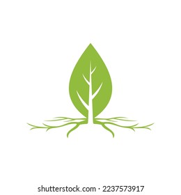 Leaf root logo icon template